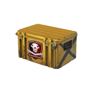 Falchion Case